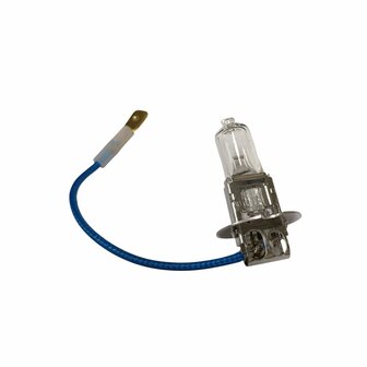 H3 (PK22S) gloeilamp 55 Watt 6 Volt   (GLOEILAMP.H3.55.1001)