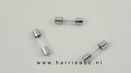 Glaszekering 2 cm lang in 1,2,3,4 en 5 ampere (GLAS.20.00.88)
