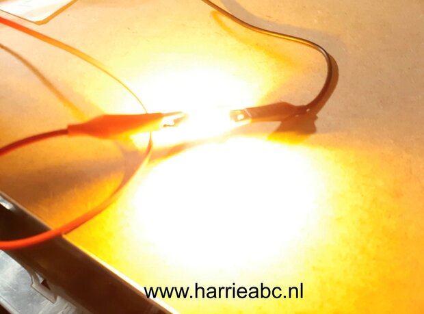 BUIS KNIPPER LAMPJE 6 VOLT 12 WATT 36 MM KLEUR AMBER. ( BUIS.31.KNIP.OA.03 )