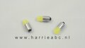 BA9S-LED-lampje-12-volt-3-watt-kleur-wit-COB.-(-12.BA9S.COB.03.OW.95-)